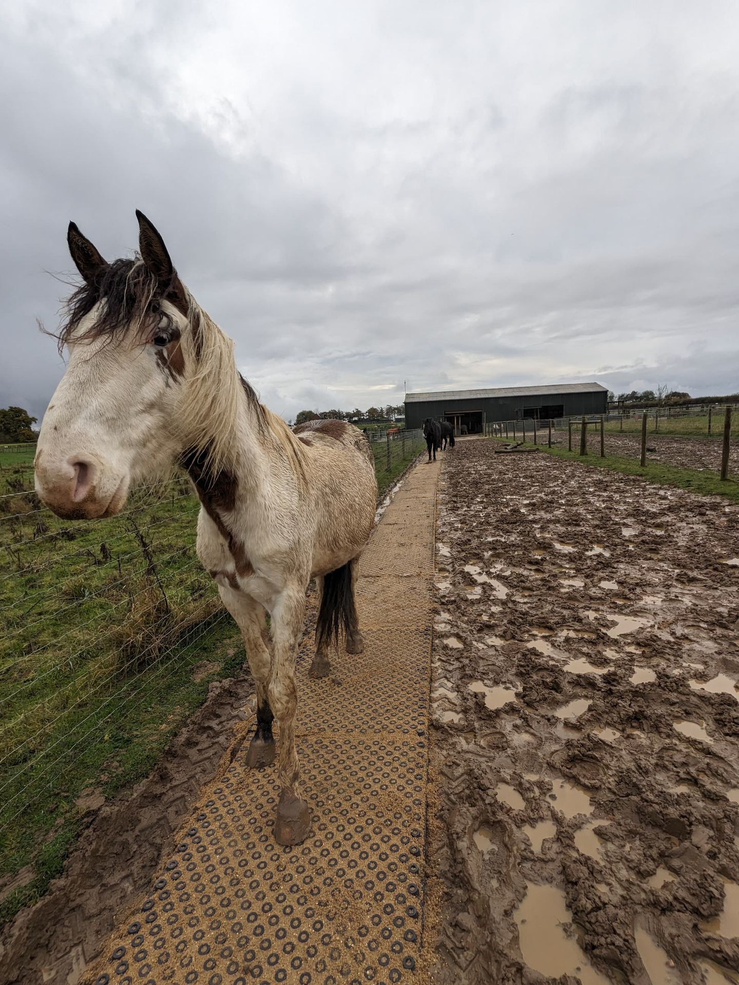 HIT Top Clean Mud Mats Jelka